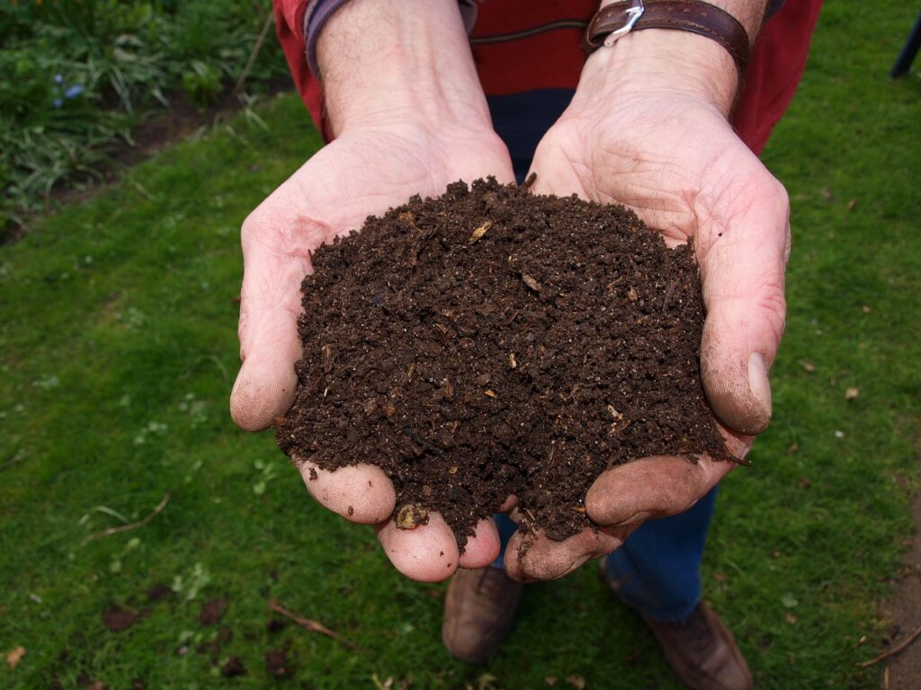 a man's two hands hands full of organic compost