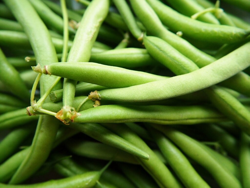 pile of fresh green beans