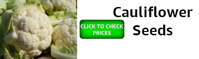 Banner showing cauliflower seeds and an invitation to check prices
