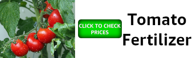 banner showing tomato fertilizer and an invitation to check prices on amazon
