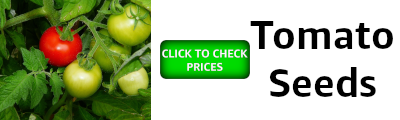 banner showing tomato seeds and an invite to check prices on amazon
