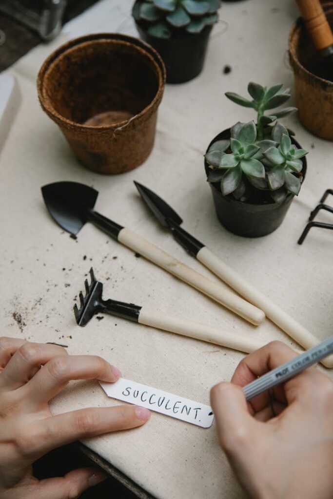 small garden tools on a table. A small selection out of the discussed 20 garden tools and their uses
