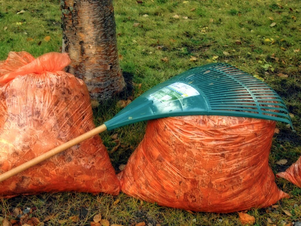 autumn, fall, rake and garden refuse