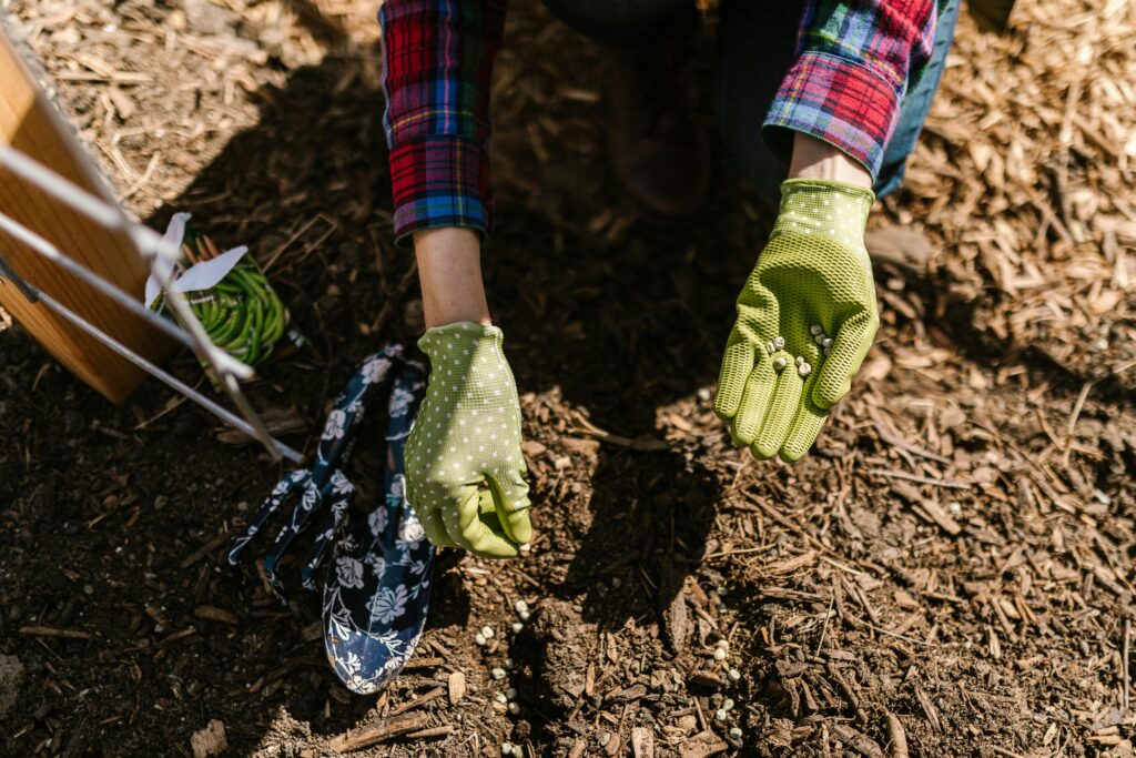 Person Wearing Green Gloves and adding mulch to a garden bed
