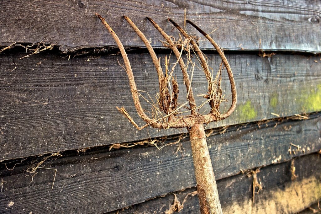 gardening fork with organic compost on it